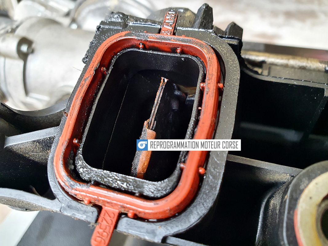 Reprogrammation Moteur Corse